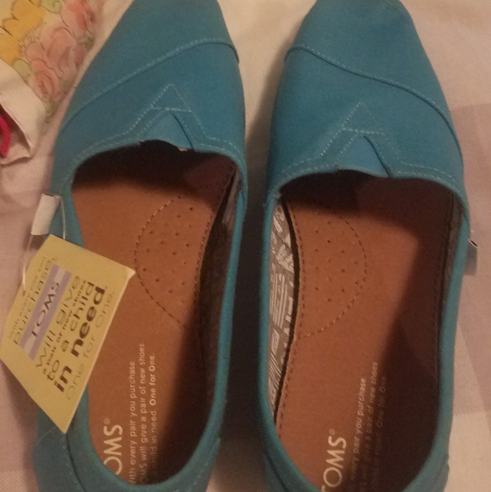 Teal 11w new Toms